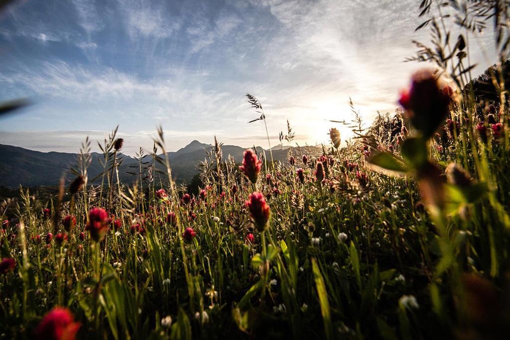 Renaissance Tuscany Il Ciocco Resort & Spa Barga Kültér fotó